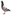 Tortora