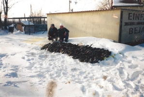 vadaszat_5