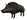 Chinghiale